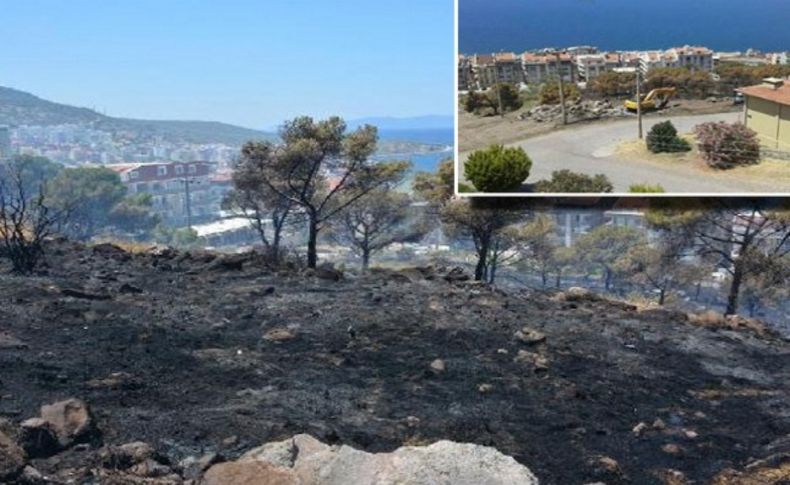 Dikili'nin 'Gezi'si mi olacak': Yangın ardında şok iddialar