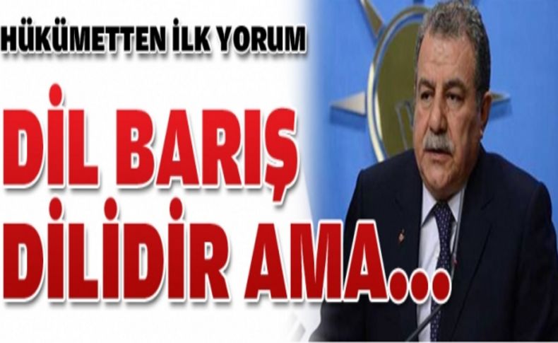 'Dil barış dilidir, uygulamayı görmek lazım'