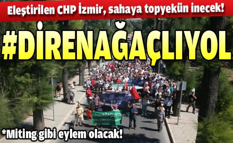 #DİRENAĞAÇLIYOL