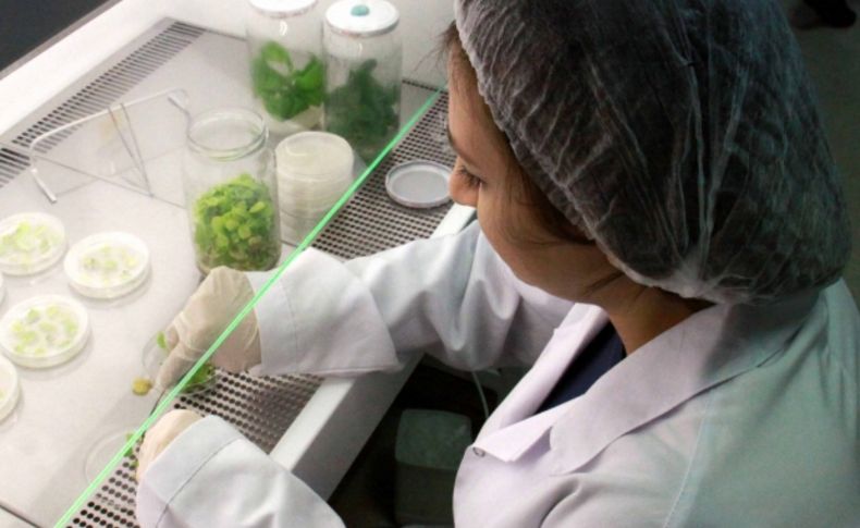 DNA analiz laboratuarısızlığı, yabancı şirketlerin işine yarıyor