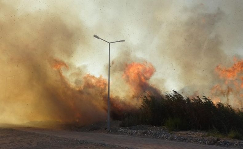 İzmir'de doğal yaşama ateş