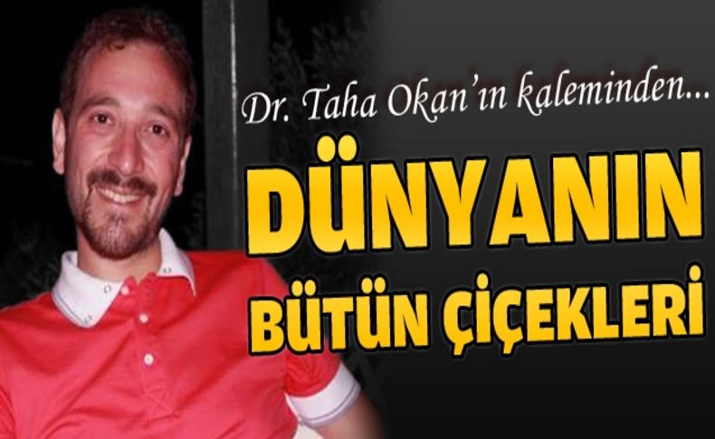 Dünyanın bütün çiçekleri