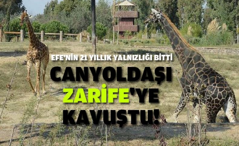 Efe’nin 21 yıllık yalnızlığı bitti