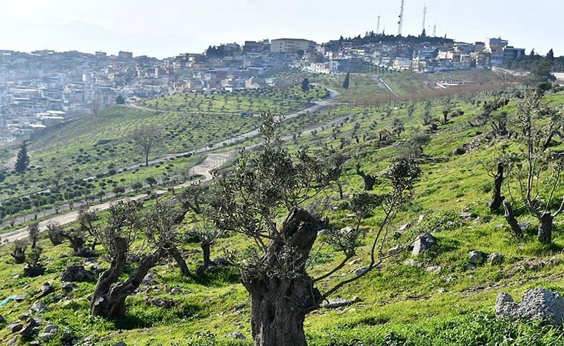 En fazla dikim 2018 yılında! Kale'de Yeşil seferberlik