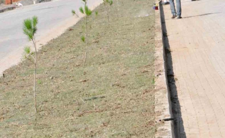 Erbaa Belediyesi OSB’de çevre düzenlemesine başladı