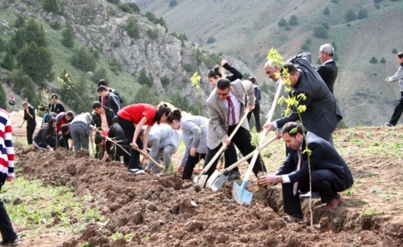 Ergan Dağı'nda ağaçlandırma seferberliği başladı