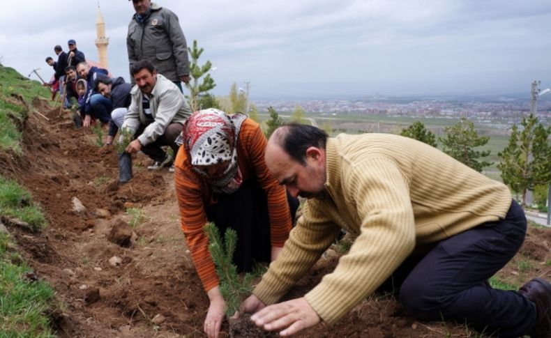 Erzurum'da avukatlar fidan dikti