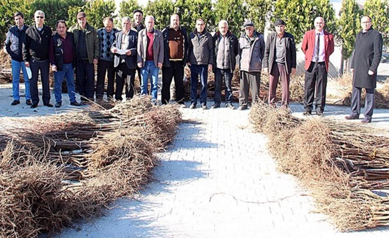 Bergama Belediyesi'nin fidan desteği devam ediyor