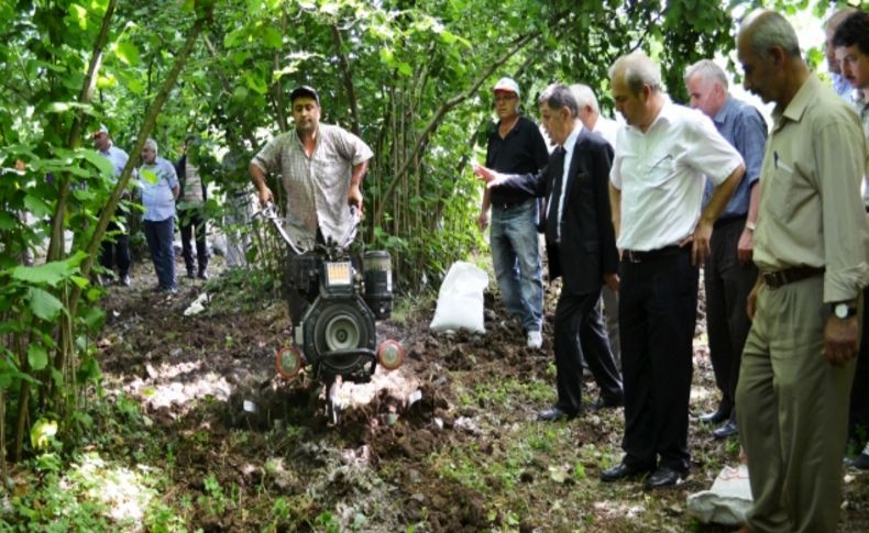 Fındık zurufu meyve bahçelerinde organik gübre olarak kullanılacak