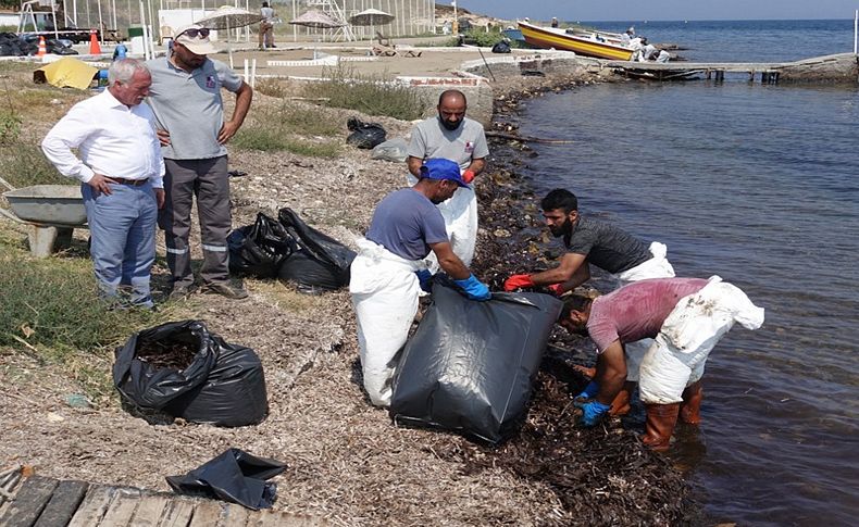 Foça'da denize sızan akaryakıtın fuel-oil olduğu belirlendi