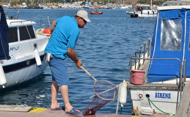 Foça kıyıları tertemiz