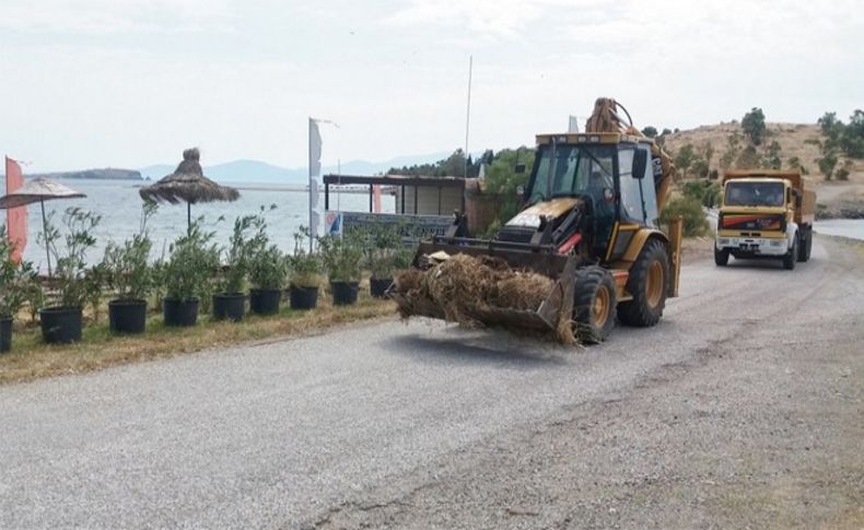 Foça yaza hazırlanıyor!