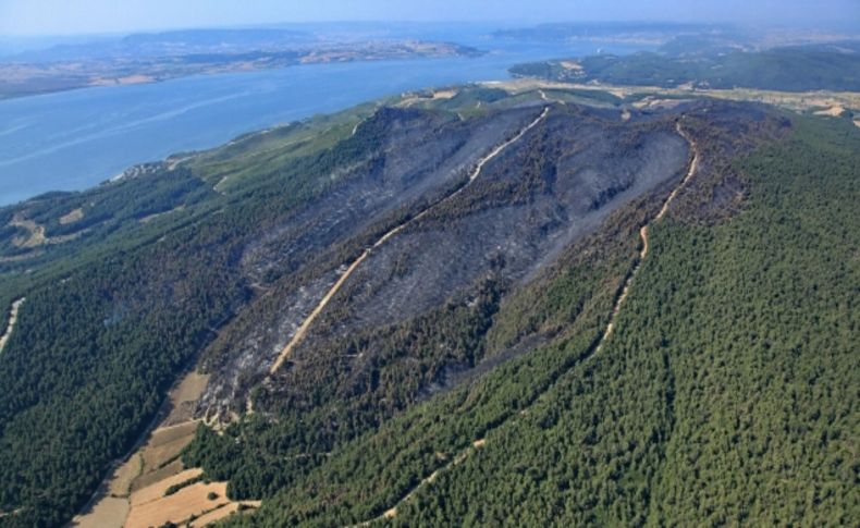 Gelibolu Yarımadası'ndaki yangında soğutma çalışmasına başlandı