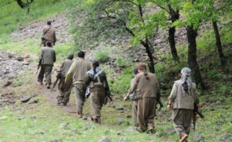 Kandil’den İdil’e sızmaya çalışan 12 PKK’lı öldürüldü