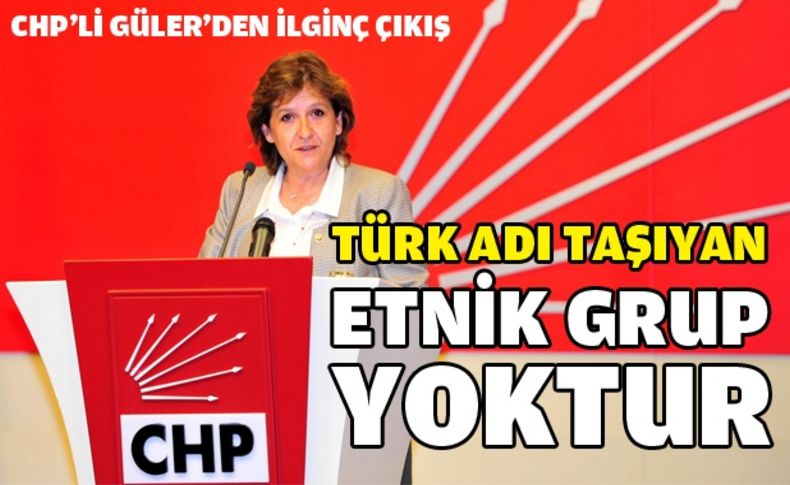 Güler'den anayasal vatandaşlık tanımına tepki