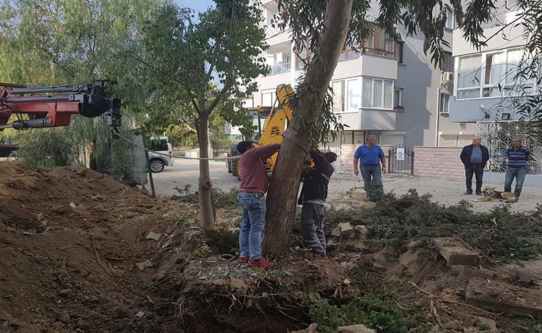 Güzelbahçe'de yeşil hamle