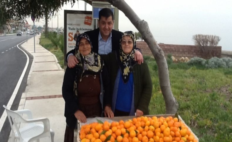 Güzelbahçe'de mandalina günleri...