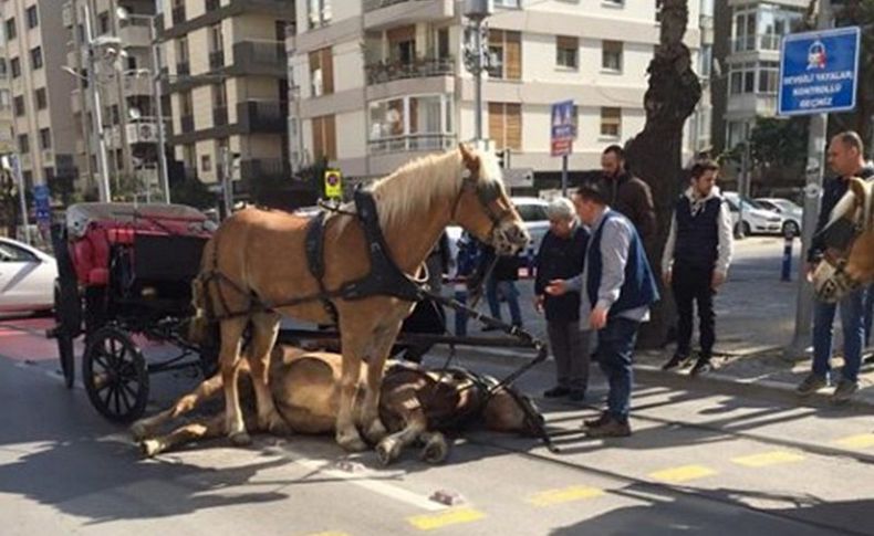 İzmir'de isyan ettiren görüntü: Faytona bağlı at bayıldı