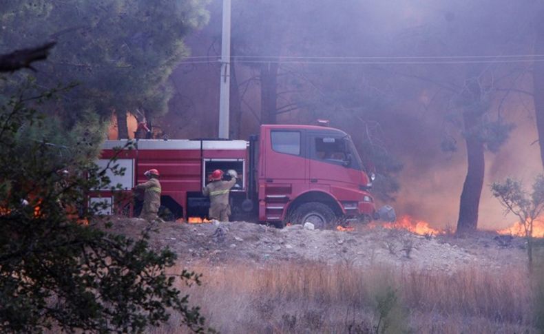 Hatay'daki orman yangınları kontrol altına alındı