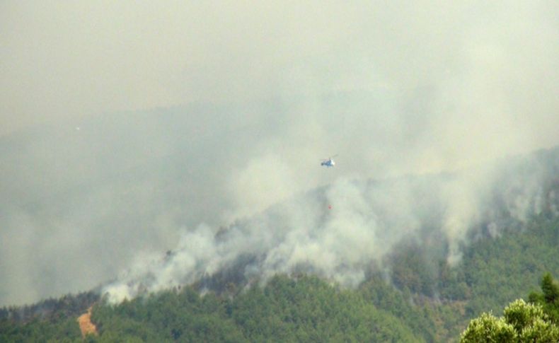 Hatay'daki orman yangını kontrol altına alınamıyor