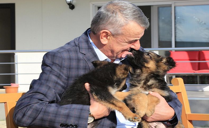 Hayvansever başkan köpek parkını genişletecek