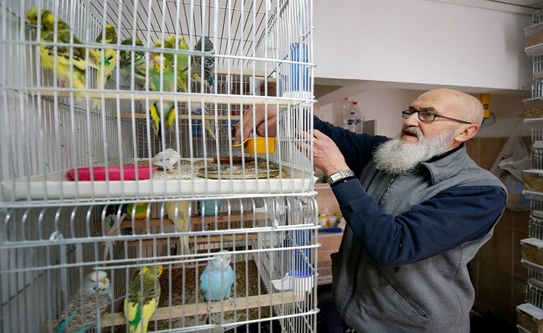 Hayvansever terzi 150 kuşunu çocuklarına vasiyet etti