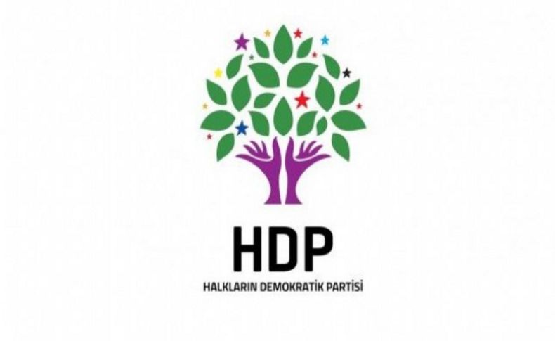 HDP'de Hatip Dicle krizi