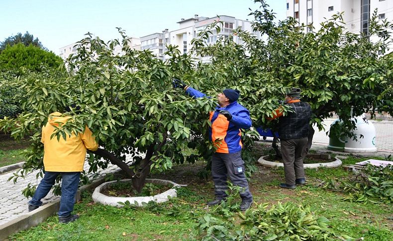 Hedef daha yeşil Narlıdere