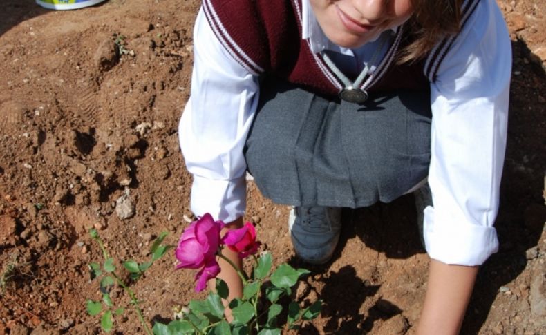 Her öğrenci bir gül dikti, okulu gül bahçesine çevirdi