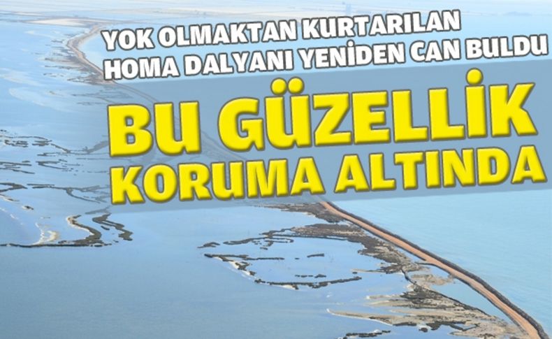 Homa Dalyanı yeniden can buldu