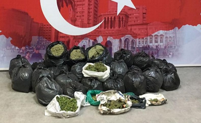 İzmir'de 2 milyon lira değerinde 70 kilo bonzai ele geçti