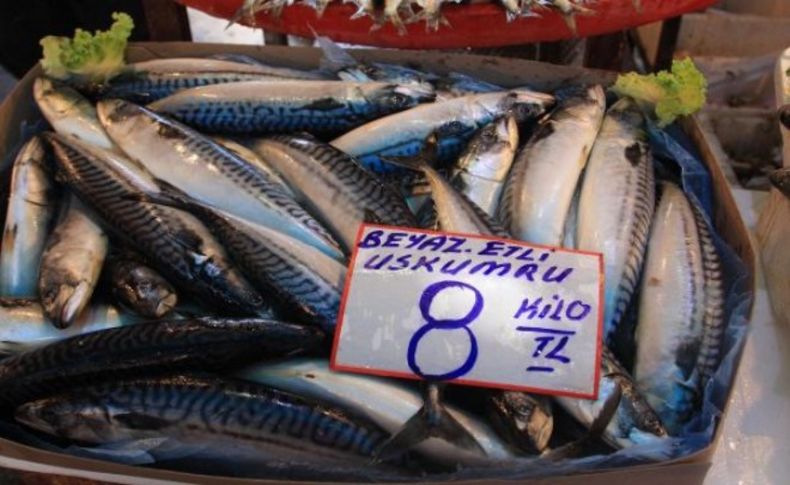 İzmir'de balık tezgahları dolu kaldı
