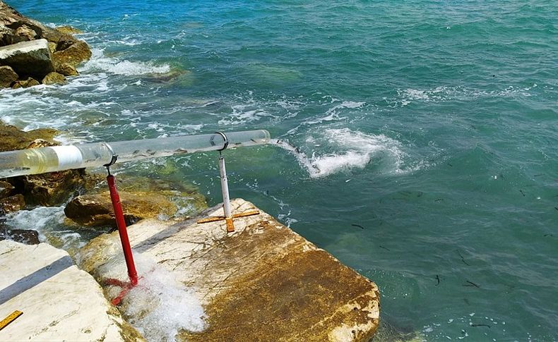 İzmir'de binlerce balık denize bırakıldı