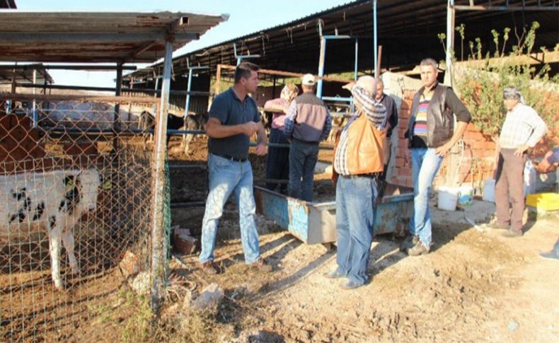 İzmir'de çiçek hastalığı tehlikesi