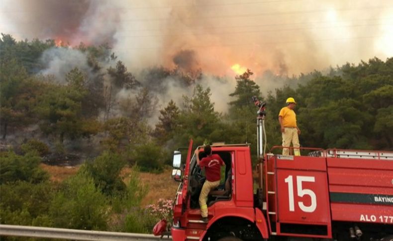 İzmir'deki yangında 800 hektar küle döndü