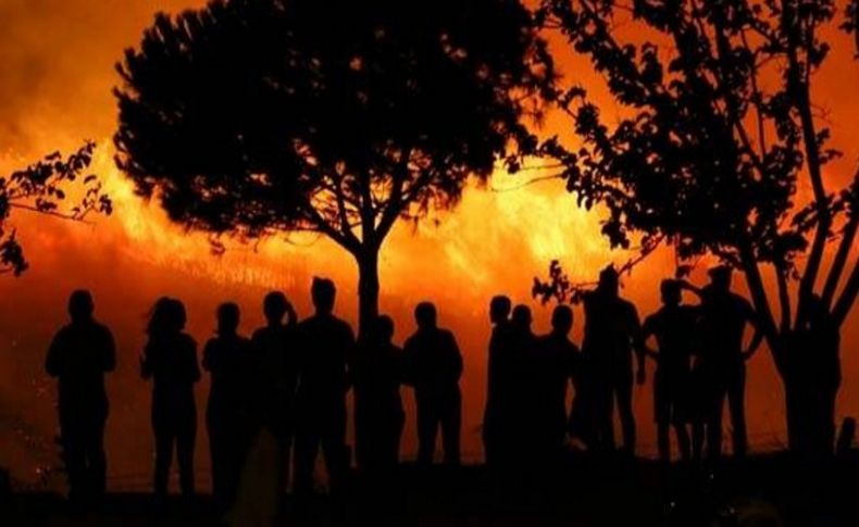 İzmir'de makilik ve ormanlık alanda yangın