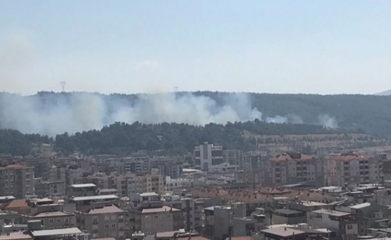 İzmir'de orman yangını