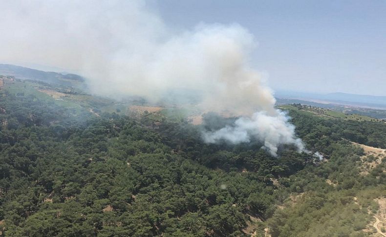 İzmir'de orman yangını