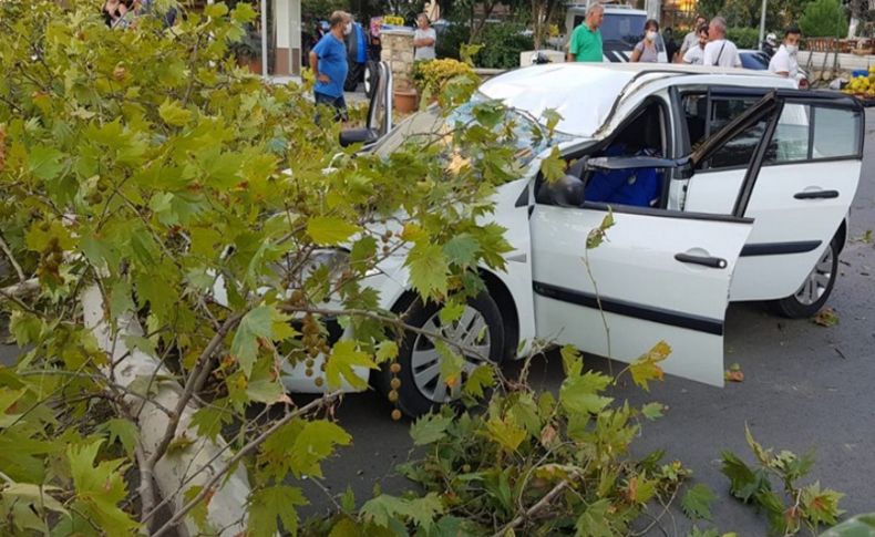 İzmir'de üstüne ağaç devrilen otomobilin sürücüsü yaralandı