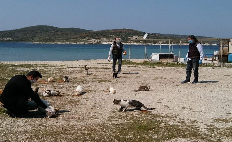 İzmir İl Tarım ve Orman Müdürlüğü can dostları için sokakta!