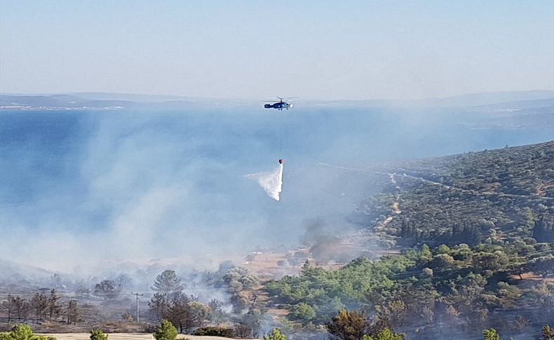 İzmir'in 2 ilçesinde orman yangını