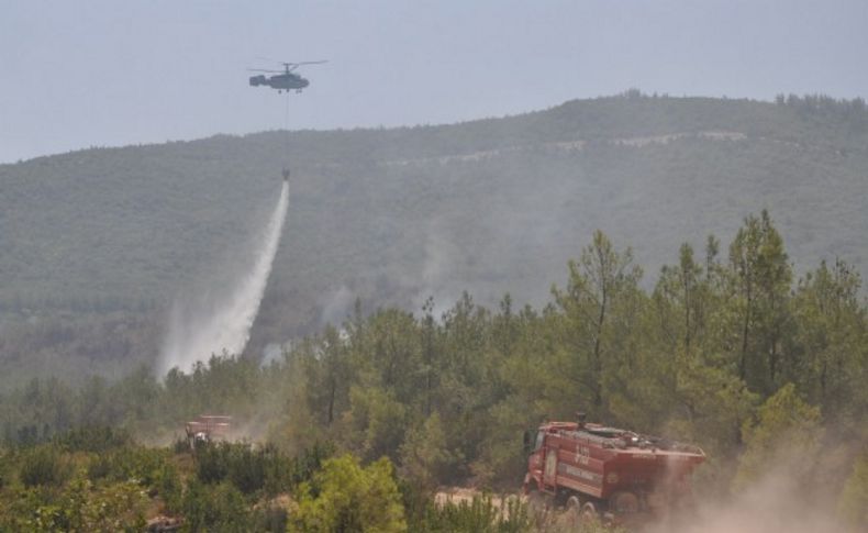 İzmir'in ciğerleri alev alev