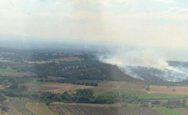 İzmir'in 'turizm cenneti'nde yangın