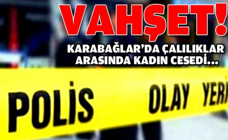 İzmir'de çalılık alanda kadın cesedi bulundu