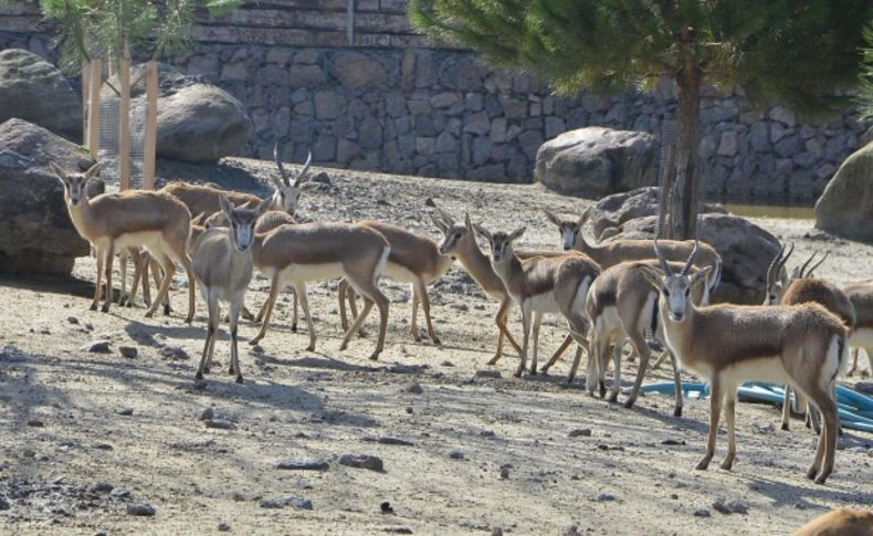 İzmir'den Eskişehir’e “Doğal” destek