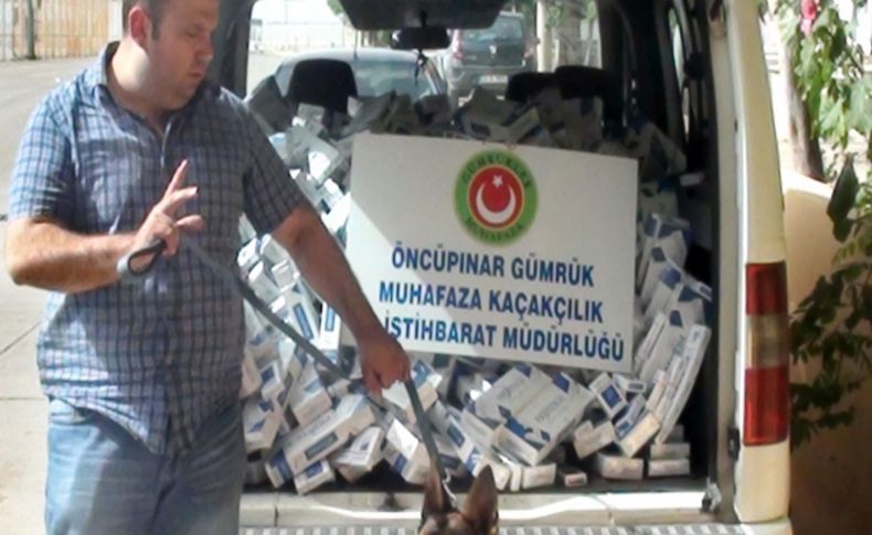 Jandarma ve gümrük ekipleri ortaklaşa binlerce kaçak sigara ele geçirdi