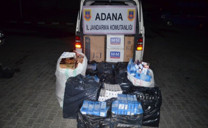 Jandarma 'yol'da 237 kilo esrar buldu