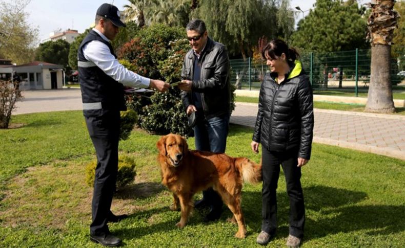 Karşıyaka'da can dostlar, ‘Veteriner Zabıtası’na emanet