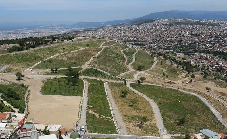 Kadifekale'de yeşil seferberlik