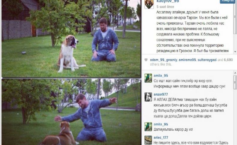 Kadirov’un kaybolan köpeği İnguşetya’da bulundu